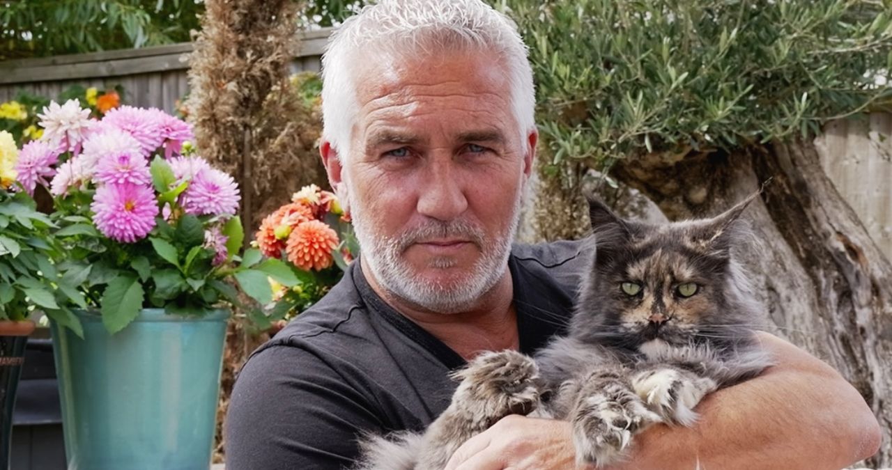 Paul Hollywood speeding conviction