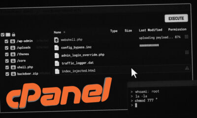 cPanel vulnerability exploitation