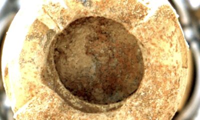 Scientists Propose New Method for Detecting Alien Life
