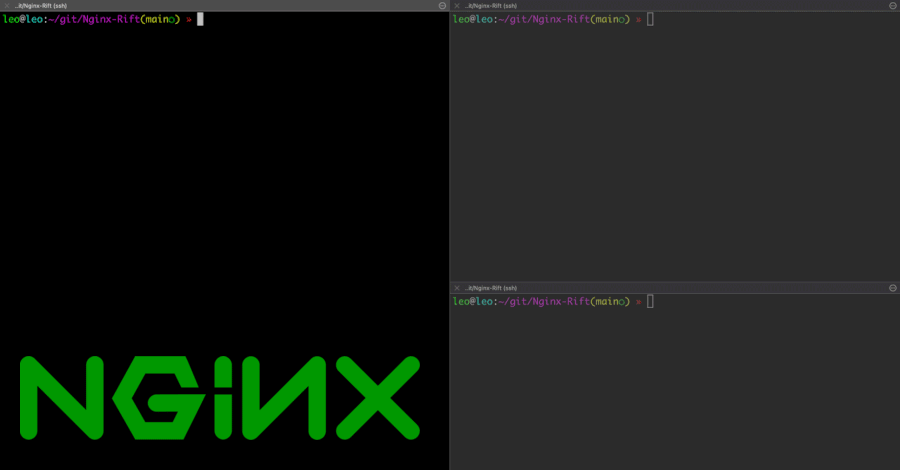18-Year-Old NGINX Flaw Poses Remote Code Execution Risk