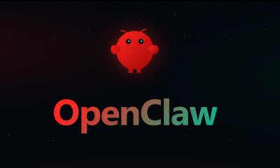 OpenClaw vulnerabilities