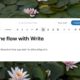 Write editor