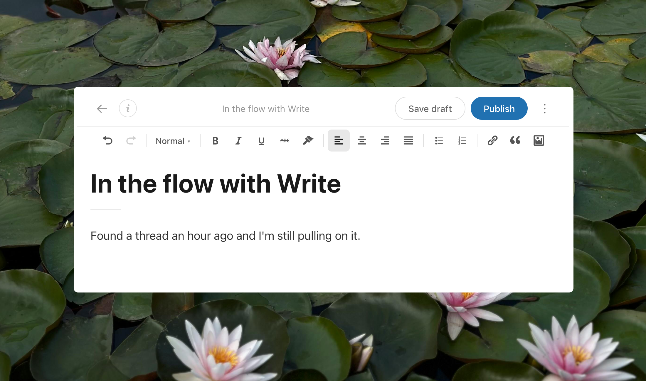 Write editor