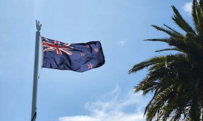 New Zealand game development revenue
