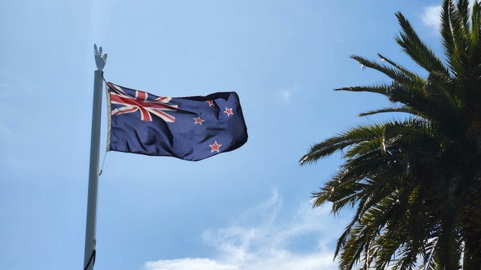 New Zealand game development revenue