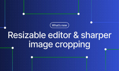 WordPress editor update